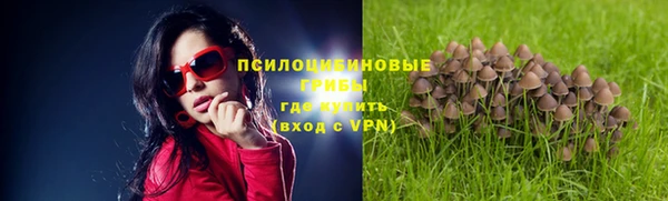экстази Алзамай