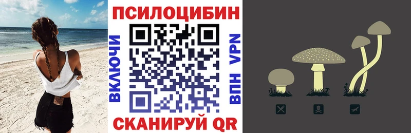 Псилоцибиновые грибы Psilocybine cubensis хочу Арск